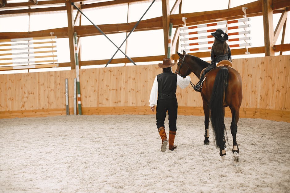 Bandagen für Pferde